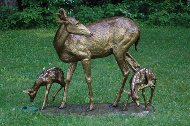 Watchful Doe With Twin Fawns
